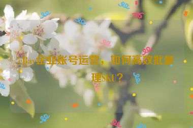 eBay企業(yè)賬號(hào)運(yùn)營(yíng)，如何高效批量管理SKU？