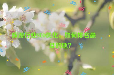 旅游行業(yè)SEO優(yōu)化，如何排名最佳目的地？