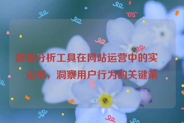 數(shù)據(jù)分析工具在網(wǎng)站運(yùn)營(yíng)中的實(shí)戰(zhàn)運(yùn)用，洞察用戶(hù)行為的關(guān)鍵策略