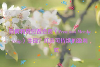 如何利用付費會員（Premium Membership）變現(xiàn)？打造可持續(xù)的盈利模式