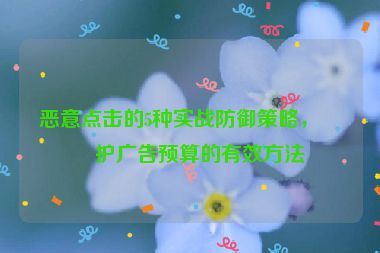 惡意點擊的5種實戰(zhàn)防御策略，保護廣告預算的有效方法