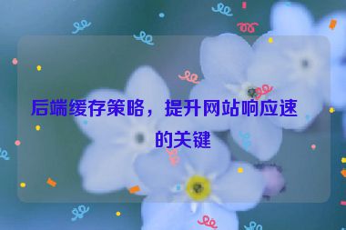 后端緩存策略，提升網站響應速度的關鍵