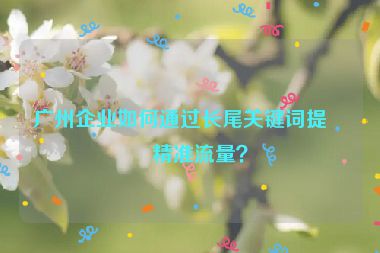 廣州企業(yè)如何通過長(zhǎng)尾關(guān)鍵詞提升精準(zhǔn)流量？