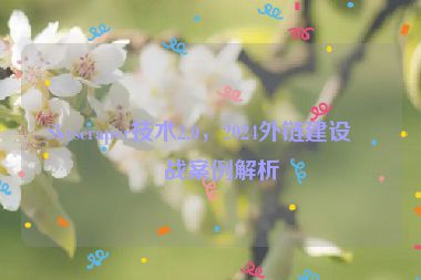 Skyscraper技術(shù)2.0，2024外鏈建設(shè)實(shí)戰(zhàn)案例解析