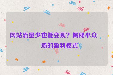 網(wǎng)站流量少也能變現(xiàn)？揭秘小眾市場的盈利模式