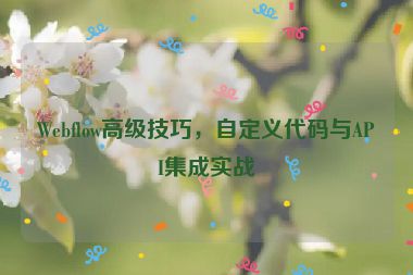 Webflow高級技巧，自定義代碼與API集成實戰(zhàn)