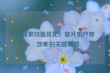 網(wǎng)站搜索功能優(yōu)化，提升用戶查找效率的關鍵策略