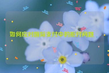 如何應(yīng)對(duì)國際支付中的拒付問題？