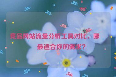 競品網(wǎng)站流量分析工具對比，哪款最適合你的需求？