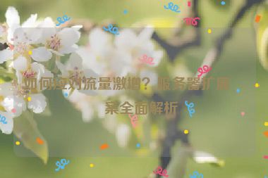 如何應(yīng)對(duì)流量激增？服務(wù)器擴(kuò)展方案全面解析