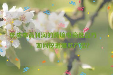 低成本高利潤的跨境電商選品方法，如何挖掘爆款產品？
