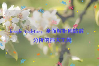 Google Analytics，全面解析網(wǎng)站數(shù)據(jù)分析的強大工具