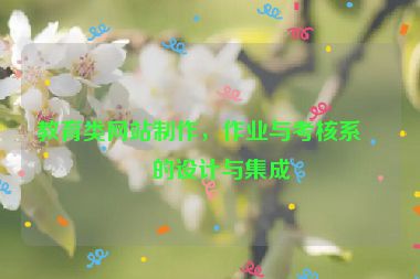 教育類網站制作，作業(yè)與考核系統(tǒng)的設計與集成