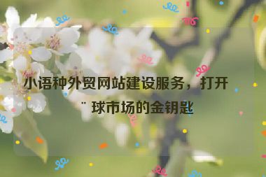 小語(yǔ)種外貿(mào)網(wǎng)站建設(shè)服務(wù)，打開全球市場(chǎng)的金鑰匙