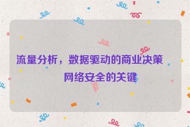 流量分析，數(shù)據(jù)驅(qū)動(dòng)的商業(yè)決策與網(wǎng)絡(luò)安全的關(guān)鍵