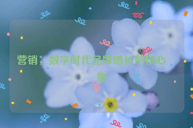 營(yíng)銷(xiāo)，數(shù)字時(shí)代品牌增長(zhǎng)的核心引擎