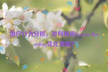 用戶行為分析，如何利用Session Recording優(yōu)化體驗？