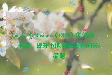 Google My Business（GMB）優(yōu)化完整指南，提升本地搜索排名的關鍵策略