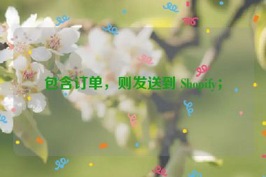 包含訂單，則發(fā)送到 Shopify；