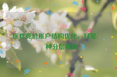 醫(yī)療競(jìng)價(jià)賬戶結(jié)構(gòu)優(yōu)化，科室/病種分層策略