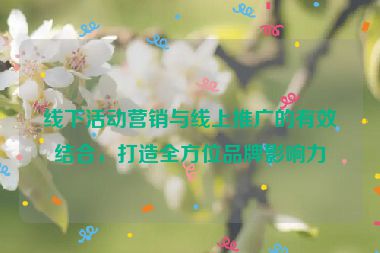 線下活動營銷與線上推廣的有效結(jié)合，打造全方位品牌影響力