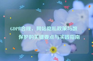 GDPR合規(guī)，網(wǎng)站隱私政策與數(shù)據(jù)保護(hù)的關(guān)鍵要點(diǎn)與實(shí)踐指南