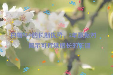 白帽SEO的長期優(yōu)勢，5年數(shù)據(jù)對(duì)比揭示可持續(xù)增長的關(guān)鍵