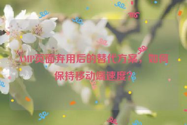 AMP頁(yè)面棄用后的替代方案，如何保持移動(dòng)端速度？
