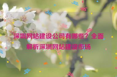 深圳網(wǎng)站建設(shè)公司有哪些？全面解析深圳網(wǎng)站建設(shè)市場