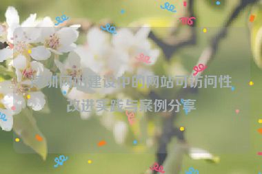 深圳網(wǎng)站建設(shè)中的網(wǎng)站可訪問性改進(jìn)實(shí)踐與案例分享