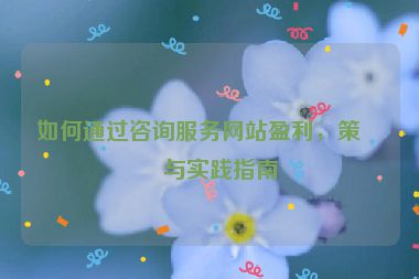 如何通過咨詢服務(wù)網(wǎng)站盈利，策略與實踐指南