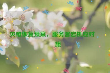 災(zāi)難恢復(fù)預(yù)案，服務(wù)器宕機(jī)應(yīng)對措施