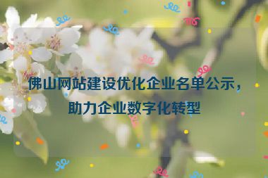 佛山網站建設優(yōu)化企業(yè)名單公示，助力企業(yè)數字化轉型