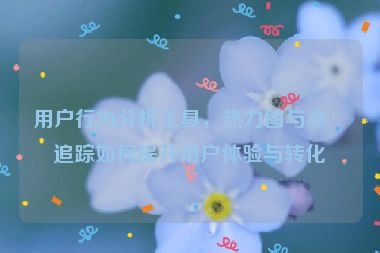 用戶行為分析工具，熱力圖與點(diǎn)擊追蹤如何提升用戶體驗(yàn)與轉(zhuǎn)化率