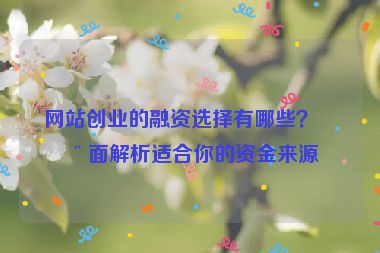 網(wǎng)站創(chuàng)業(yè)的融資選擇有哪些？全面解析適合你的資金來源