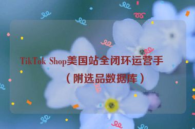 TikTok Shop美國(guó)站全閉環(huán)運(yùn)營(yíng)手冊(cè)（附選品數(shù)據(jù)庫）