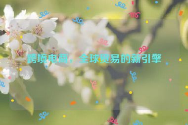 跨境電商，全球貿(mào)易的新引擎