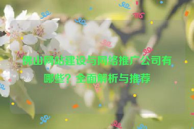 佛山網(wǎng)站建設(shè)與網(wǎng)絡(luò)推廣公司有哪些？全面解析與推薦