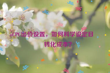 oCPC出價設(shè)置，如何科學(xué)設(shè)定目標(biāo)轉(zhuǎn)化成本？