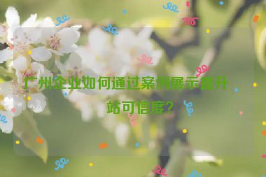 廣州企業(yè)如何通過案例展示提升網(wǎng)站可信度？