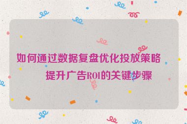 如何通過數(shù)據(jù)復(fù)盤優(yōu)化投放策略？提升廣告ROI的關(guān)鍵步驟