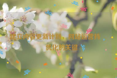 建立內(nèi)容更新計(jì)劃，網(wǎng)站運(yùn)營(yíng)持續(xù)優(yōu)化的關(guān)鍵