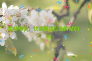 建站模板，快速搭建專業(yè)網(wǎng)站的利器