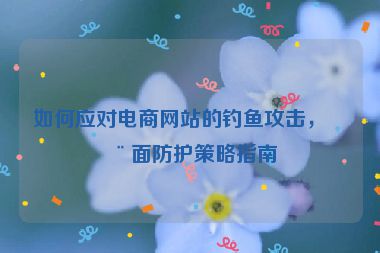 如何應(yīng)對電商網(wǎng)站的釣魚攻擊，全面防護(hù)策略指南