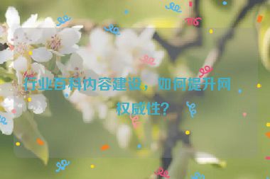 行業(yè)百科內(nèi)容建設(shè)，如何提升網(wǎng)站權(quán)威性？