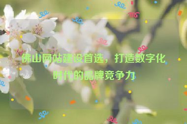 佛山網(wǎng)站建設(shè)首選，打造數(shù)字化時(shí)代的品牌競爭力