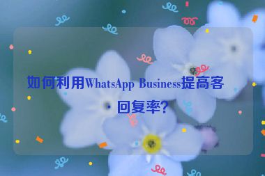如何利用WhatsApp Business提高客戶(hù)回復(fù)率？