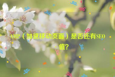 AMP（加速移動(dòng)頁(yè)面）是否還有SEO價(jià)值？