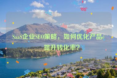 SaaS企業(yè)SEO策略，如何優(yōu)化產(chǎn)品頁(yè)提升轉(zhuǎn)化率？