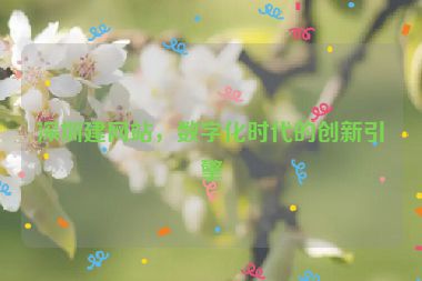 深圳建網(wǎng)站，數(shù)字化時代的創(chuàng)新引擎